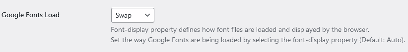 flash of invisible text elementor