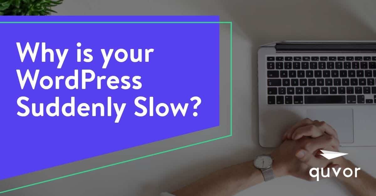 Why Is Your Wordpress Suddenly Slow How To Fix It Quvor